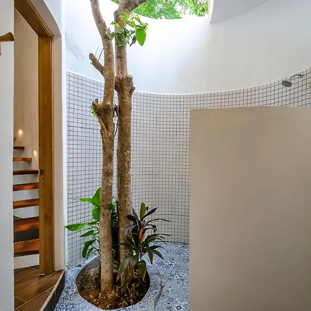 Carpe Diem Casitas & Villas Mazunte Room photo